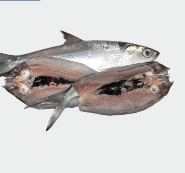 Boneless Milkfish