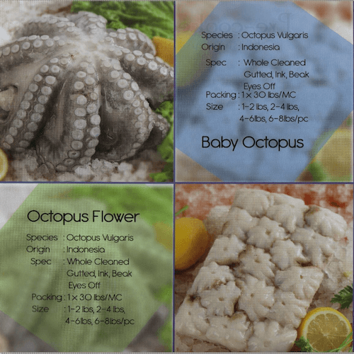 Octopus
