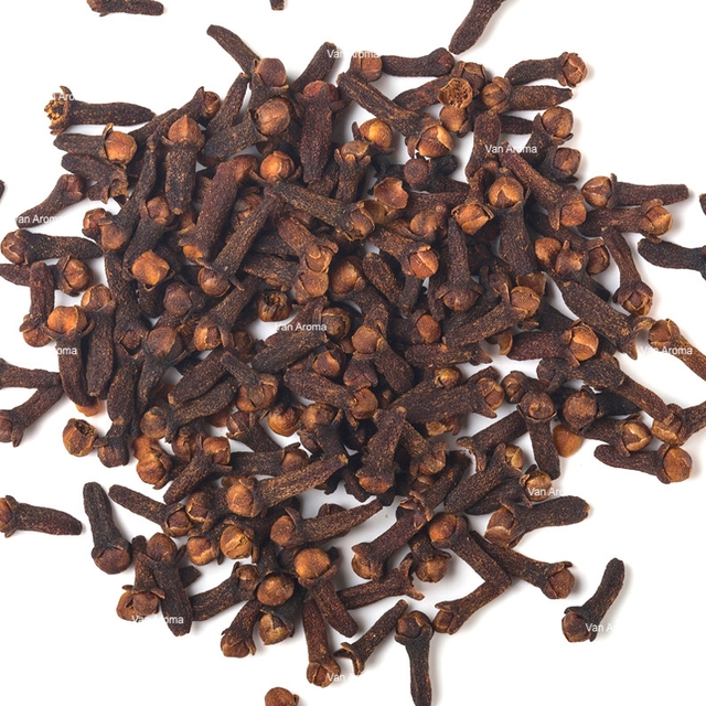 Clove Bud Oil (CL-380) - Van Aroma