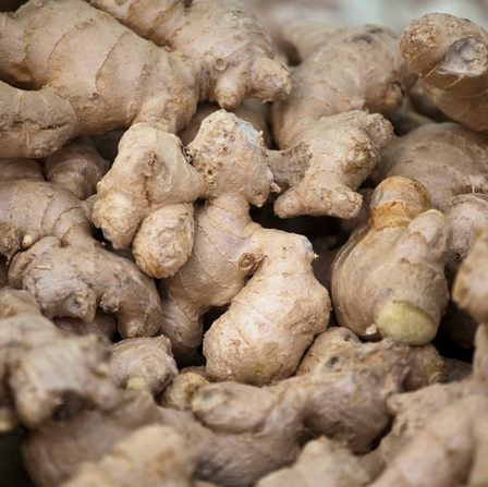 Fresh Ginger Oil (FG-001) - Van Aroma