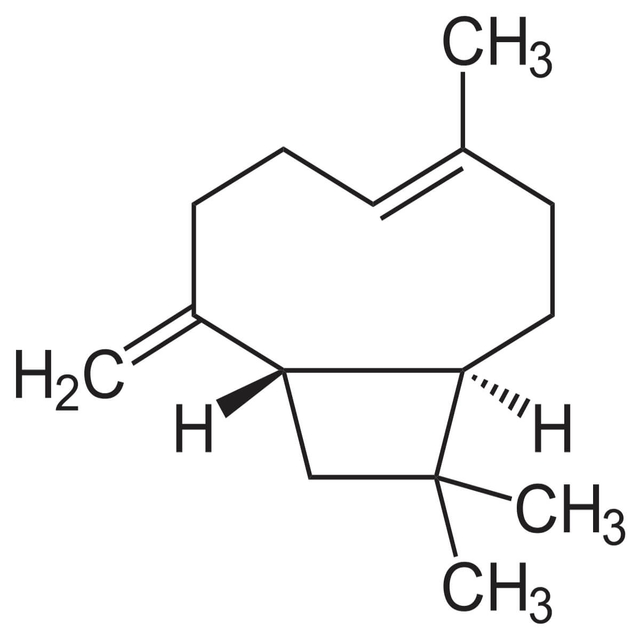Clove Terpenes (CL-477) Van Aroma