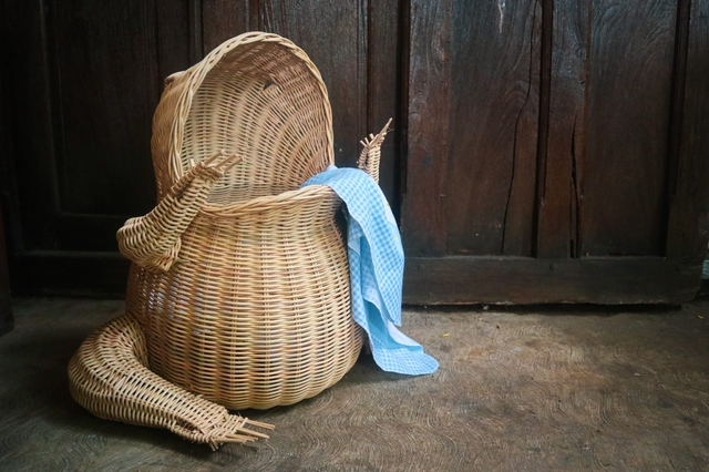 Frog Basket