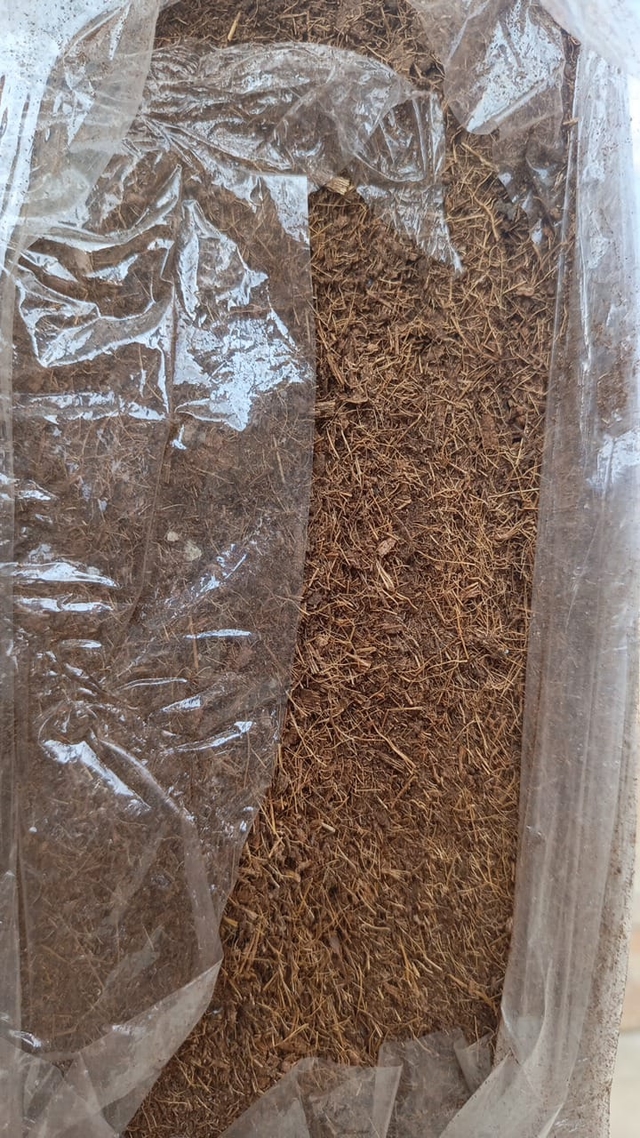 Cocopeat block