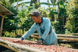 Indonesian Coffee Competitors in South Korea