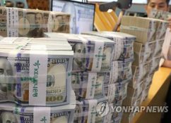S. Korea’s Foreign Reserves Fall for First Time in 4 Months