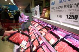 FTA에 힘입어 미국산 쇠고기는 수입 시장의 절반을 차지하고 있다.