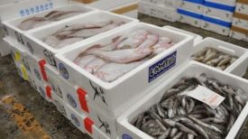 핵 실험 이후에도 여전히 일본산 생선 제품을 믿지 않는 한국인들