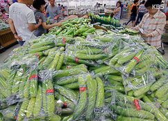 Vegetable Prices Soar ahead of Lunar New Year